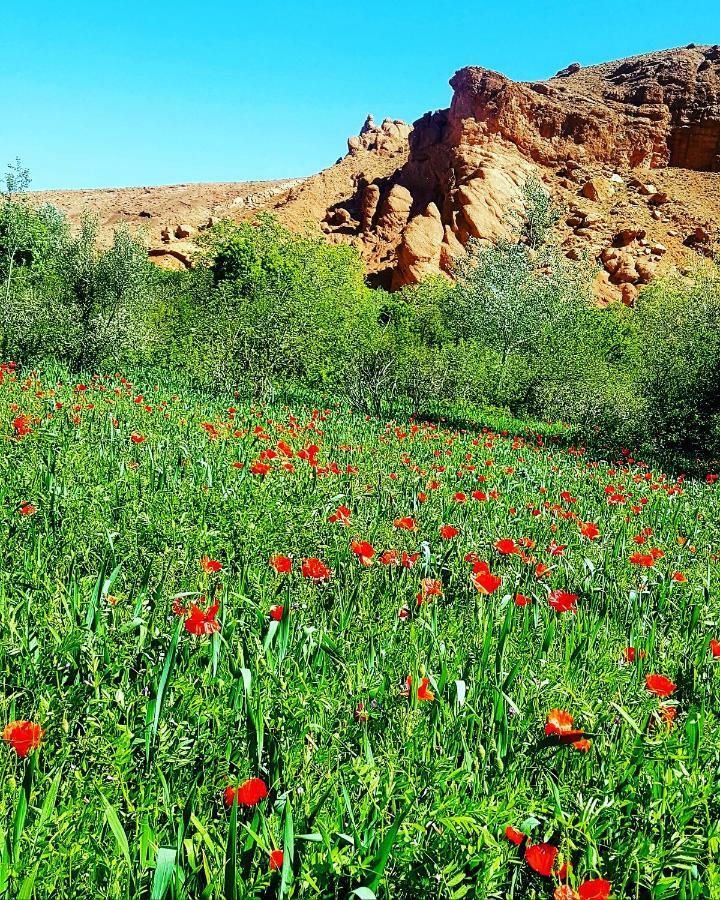 Auberge Kasbah Ait Marghad Tamellalt Kültér fotó